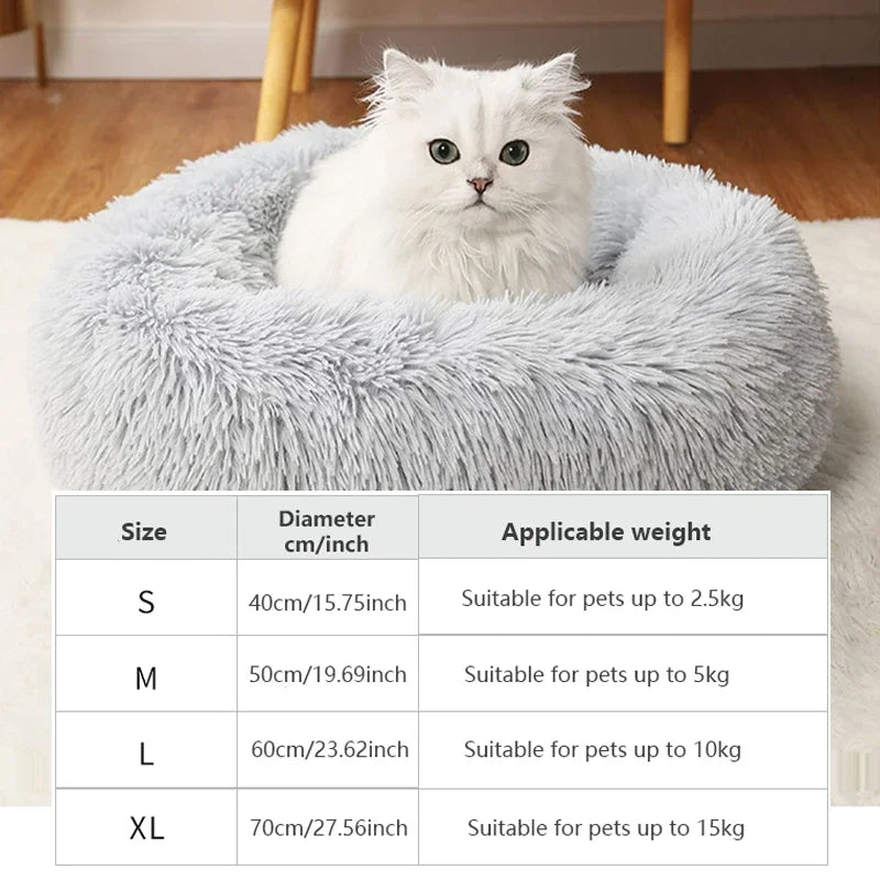 White cat in a gray pet bed with size chart below