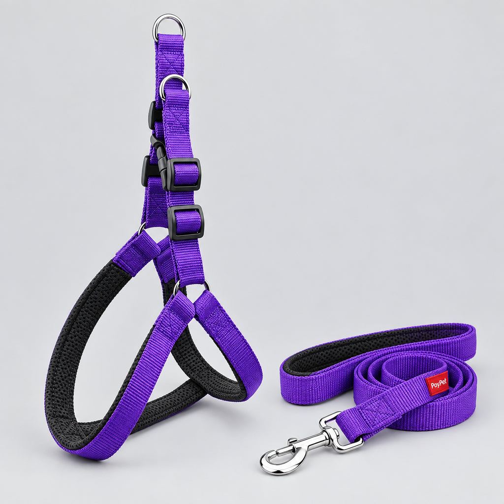 Dog wearing padded harness and leash during a walk