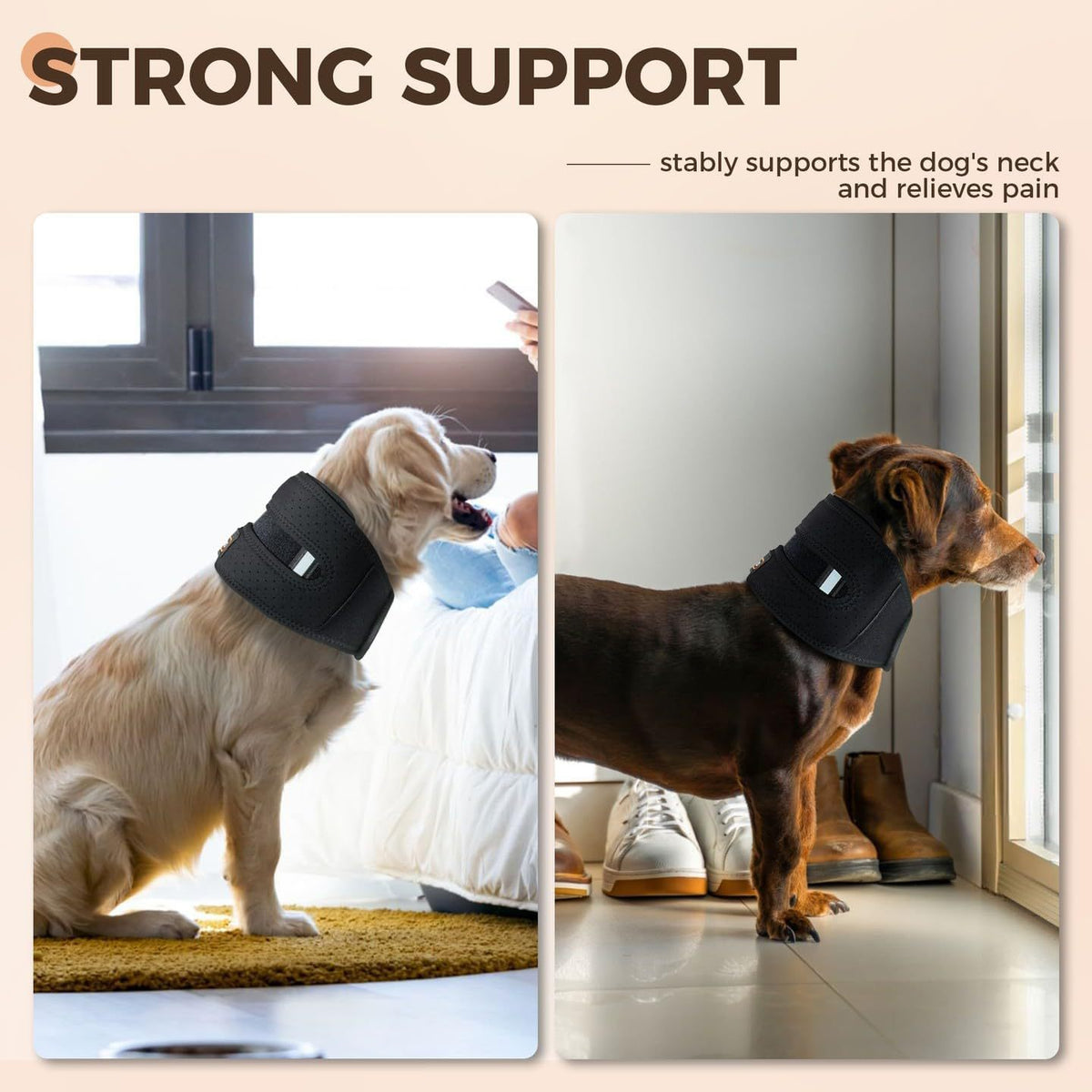 Two dogs wearing black collars, with text about strong support for neck pain relief.