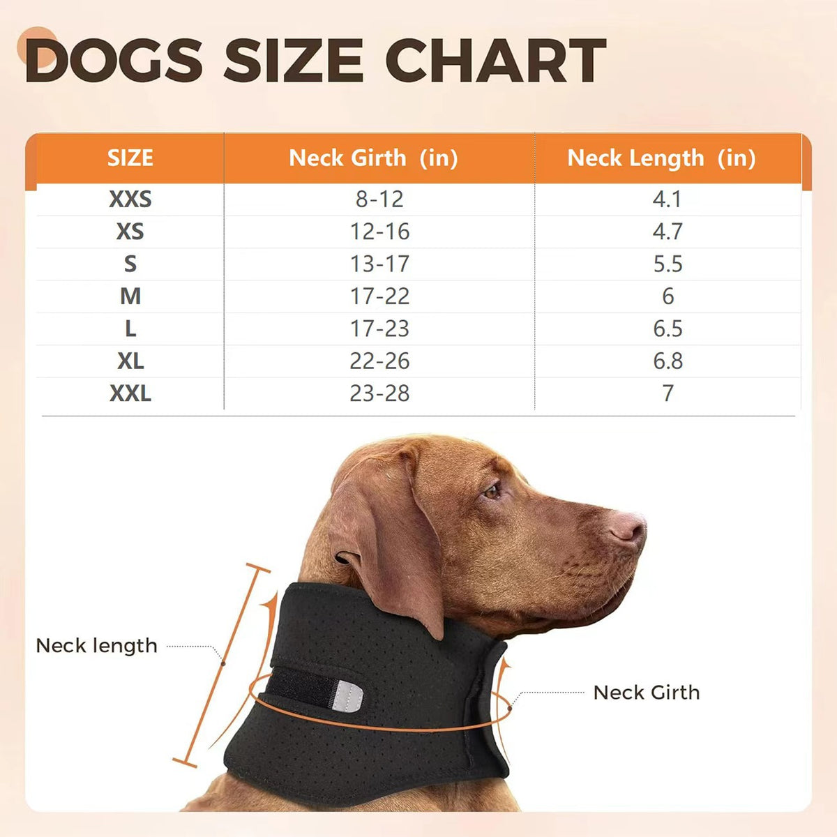Dog size chart with neck measurements and a dog wearing a black collar.
