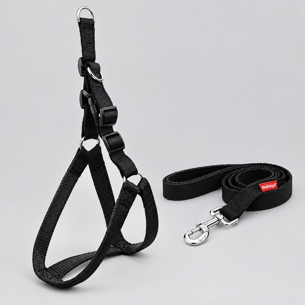 Adjustable padded dog harness with leash
