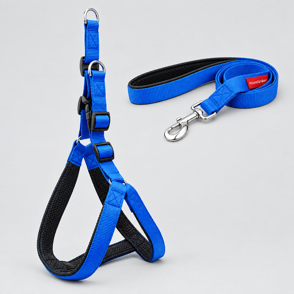 Padded dog harness with reflective nylon leash