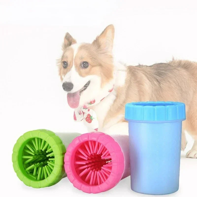 Dog standing next to colorful silicone cups on a white background