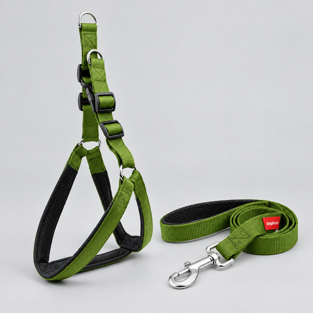 Padded dog harness with reflective nylon leash