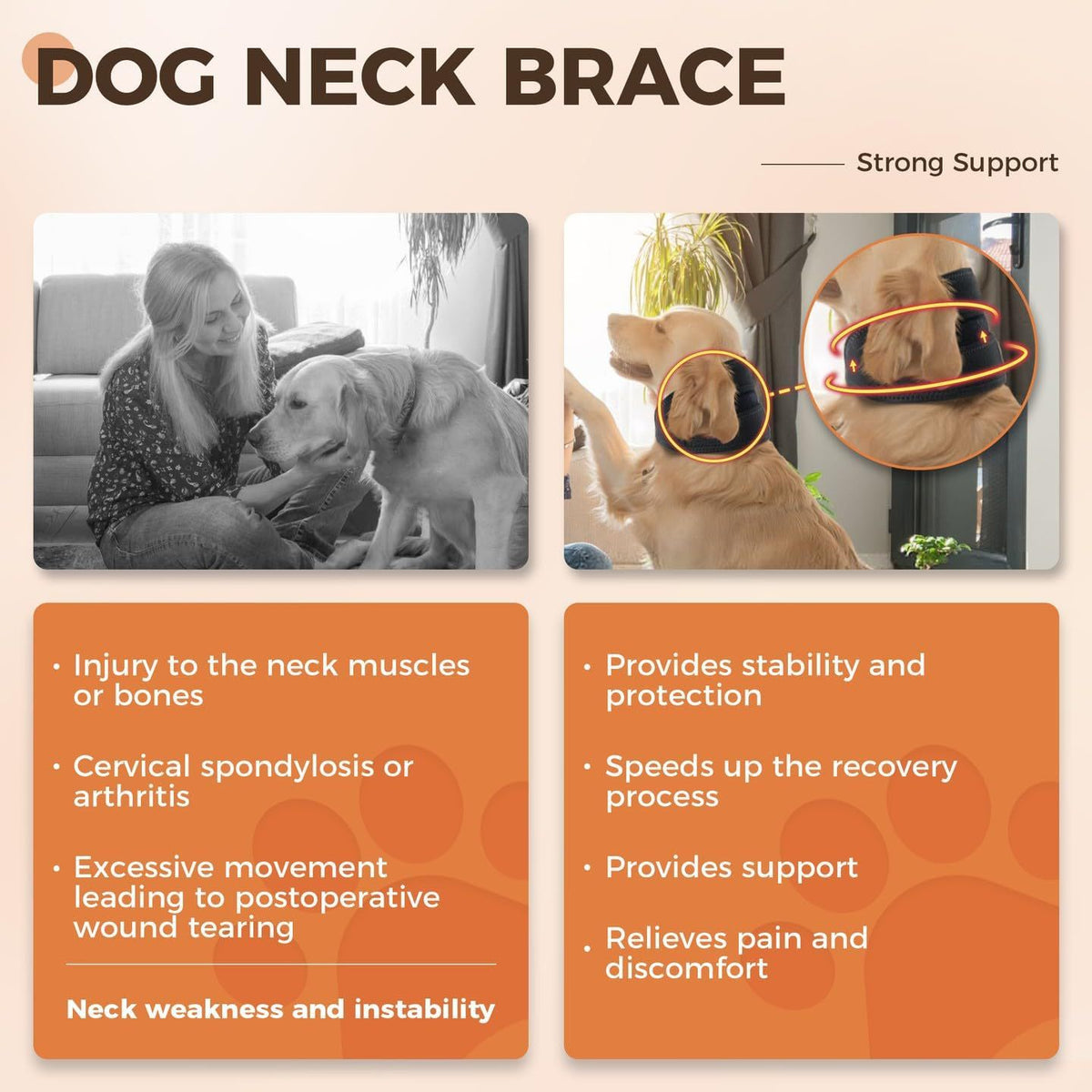 Dog wearing an adjustable cervical neck support brace